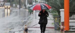 North Cyprus News - Rain