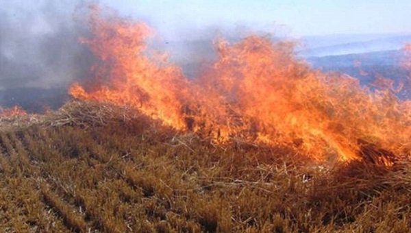 North Cyprus News - Fire in Mountains