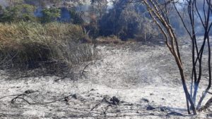 North Cyprus News - fire damage - Akdeniz