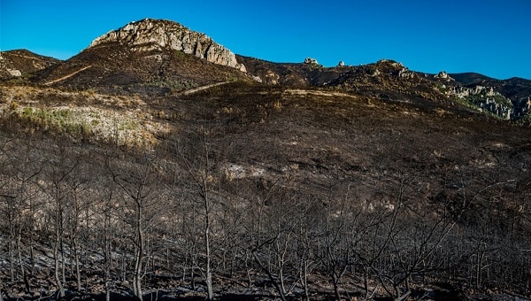 North Cyprus News - Fire - Besparmak