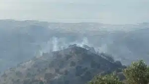 Fire in Tatlisu-Mersin