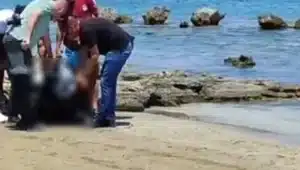 Body of Güldeniz Özel found on Silver Beach